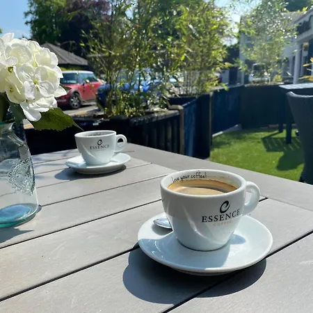 Castle Arch فندق تريم