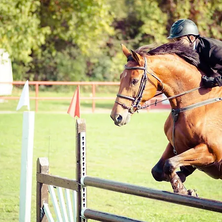 Castle Arch 3* トリム