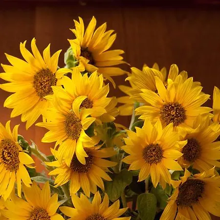 Castle Arch ホテル トリム