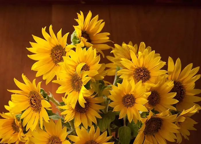 Castle Arch Отель Трим